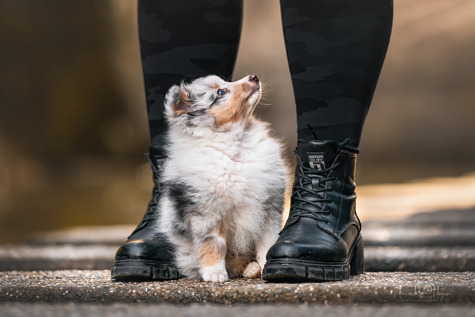 Mensch Hund Fotografie