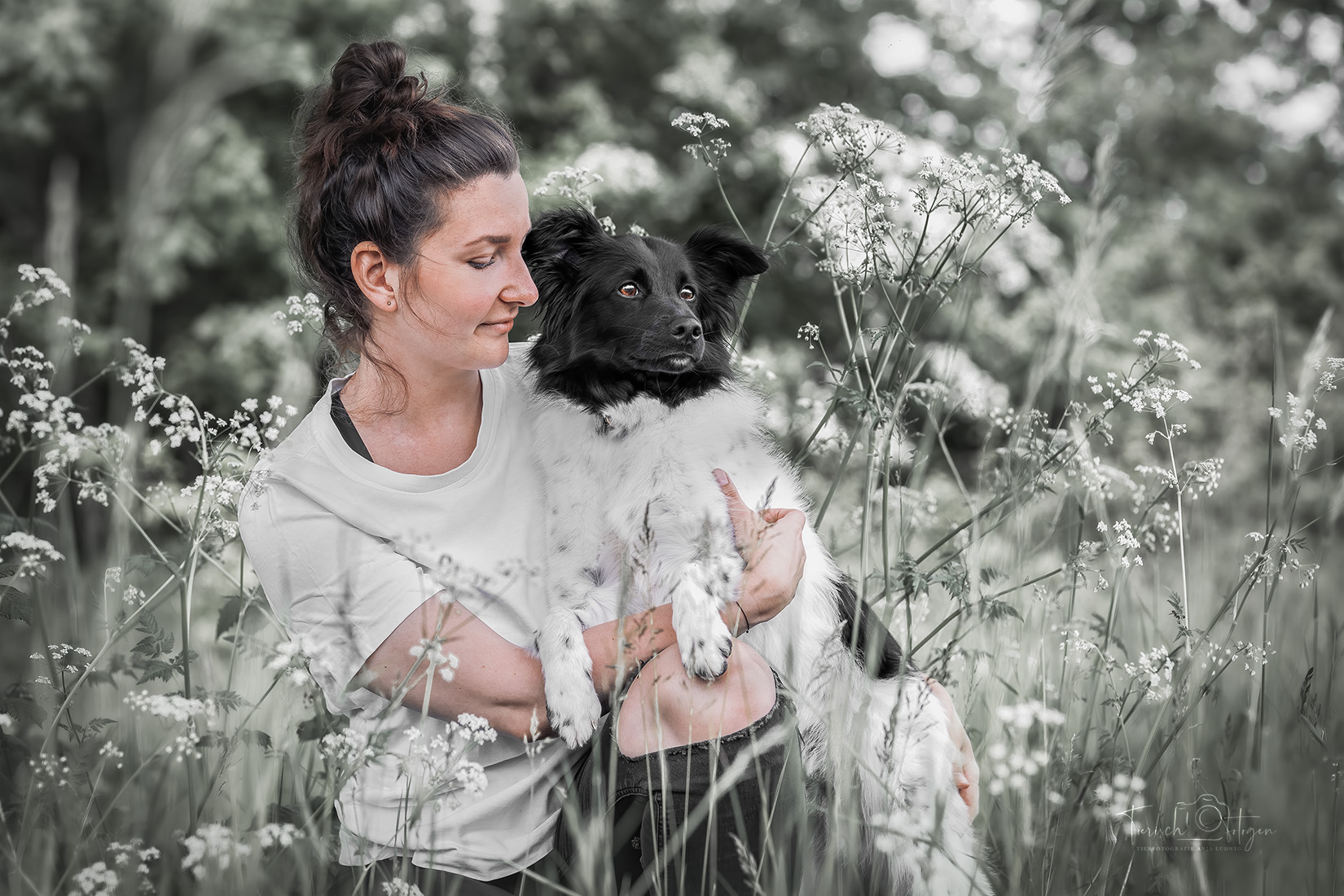 Bordercollie mit Frauchen