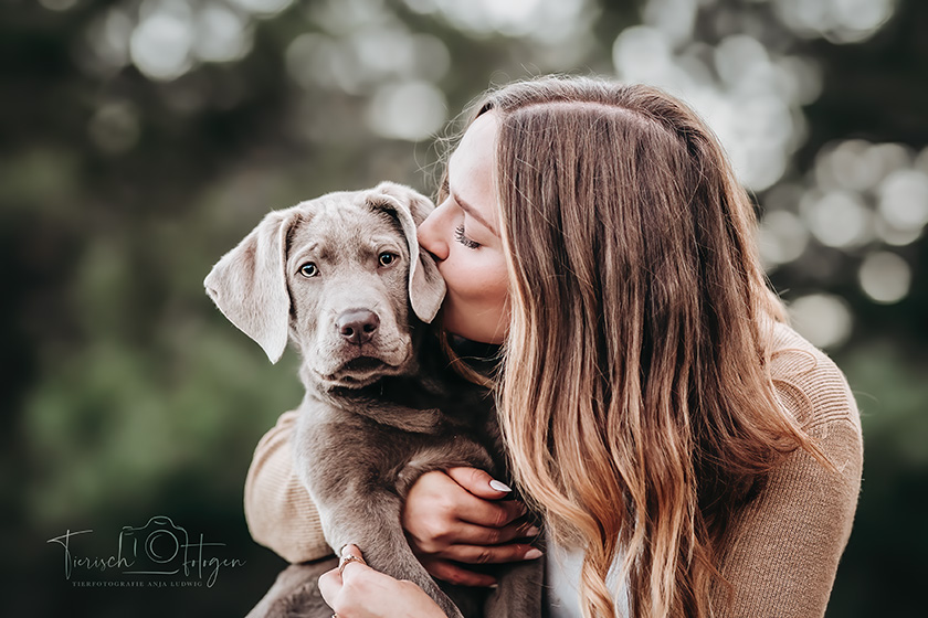 Hundefotografie in Mönchengladbach