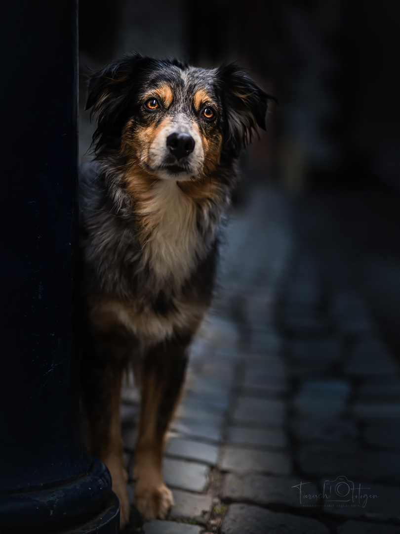 Low light Fotoshooting