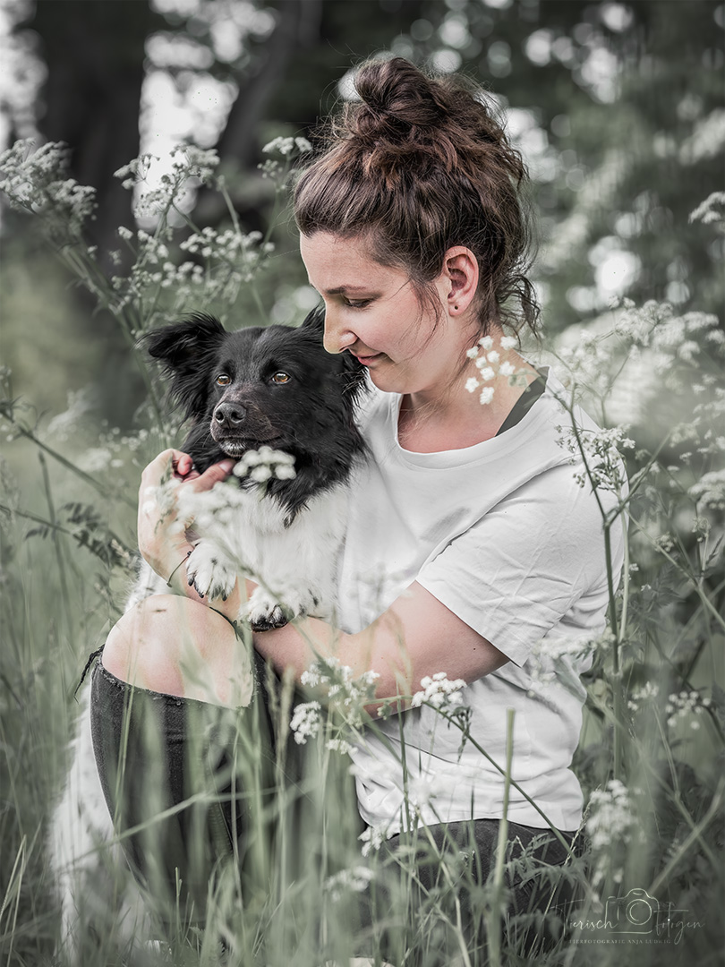Border Collie kuschelt