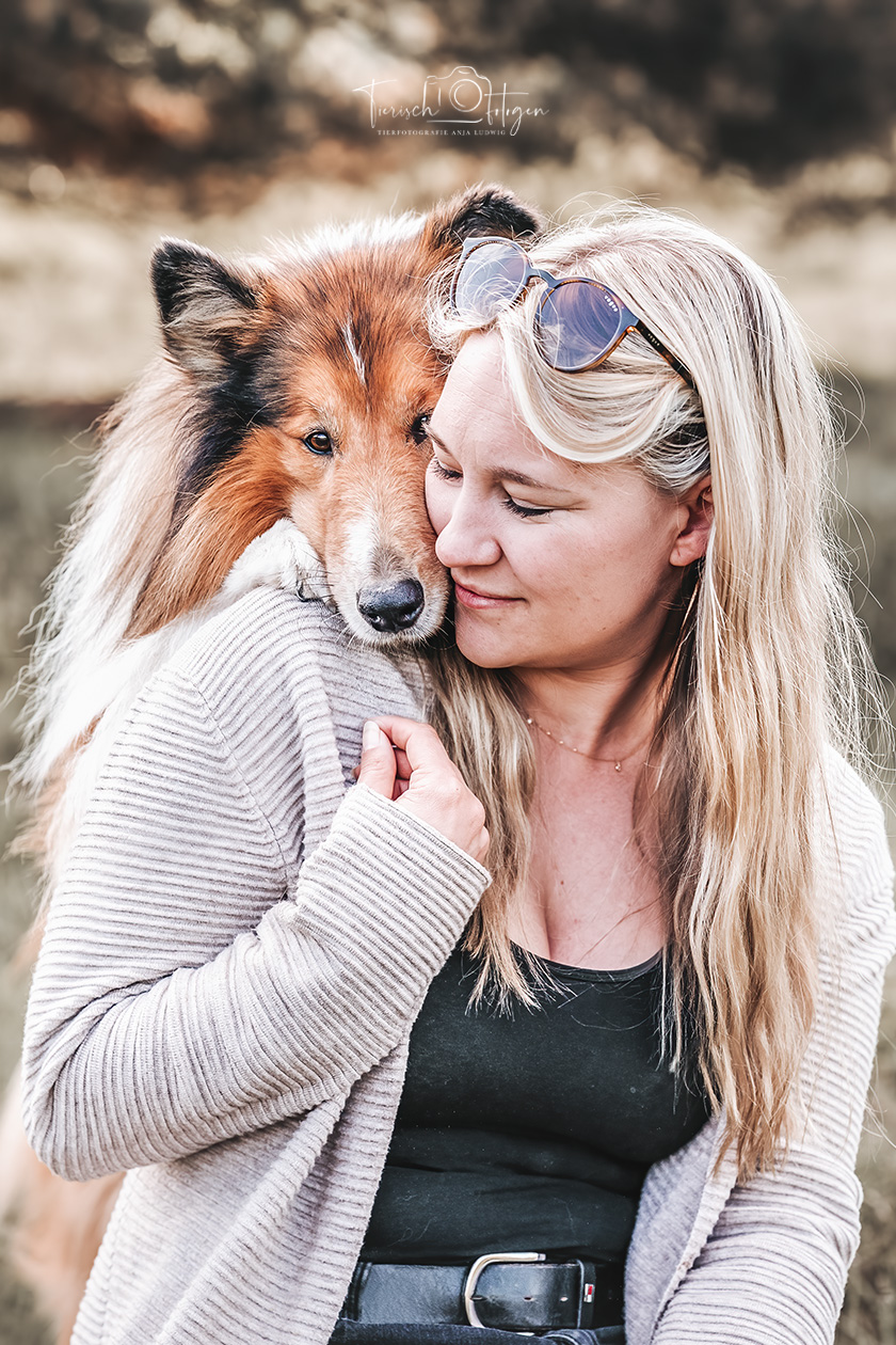 Langhaar Collie