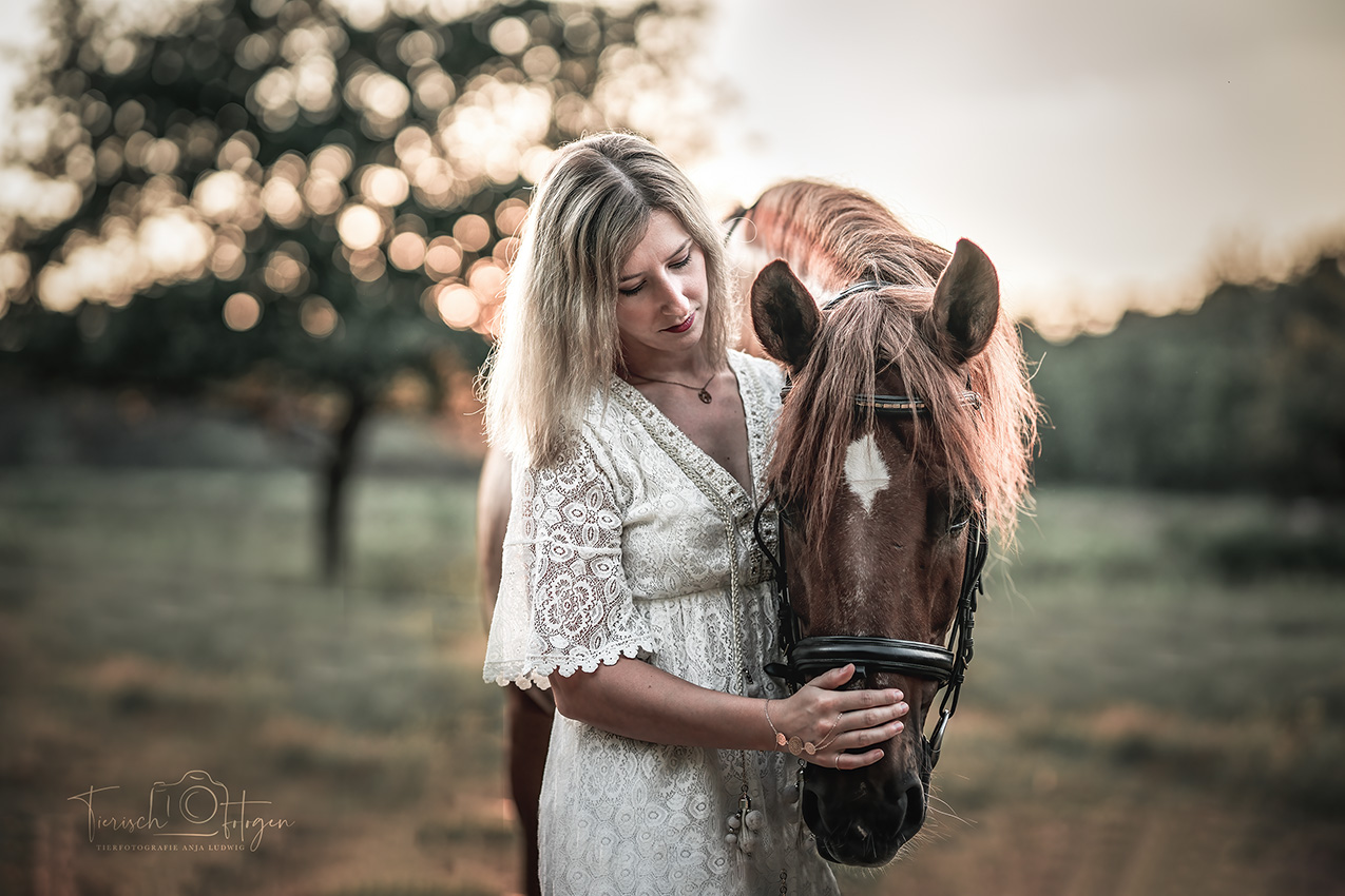 Pferdeshooting in der Wahner Heide